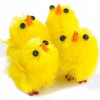 Kurczaczki 3cm żółte x60